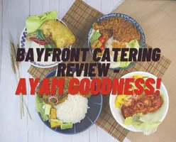 Bayfront Catering Review - Ayam Goodness!